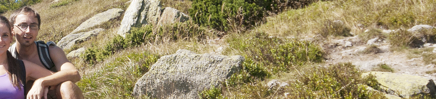 Ubytování Nízké Tatry